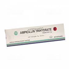 AMPICILIN 500 MG NOVA
