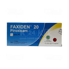 FAXIDEN 20