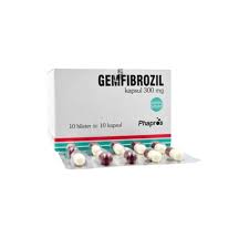 GEMFIBROZIL 300 MG